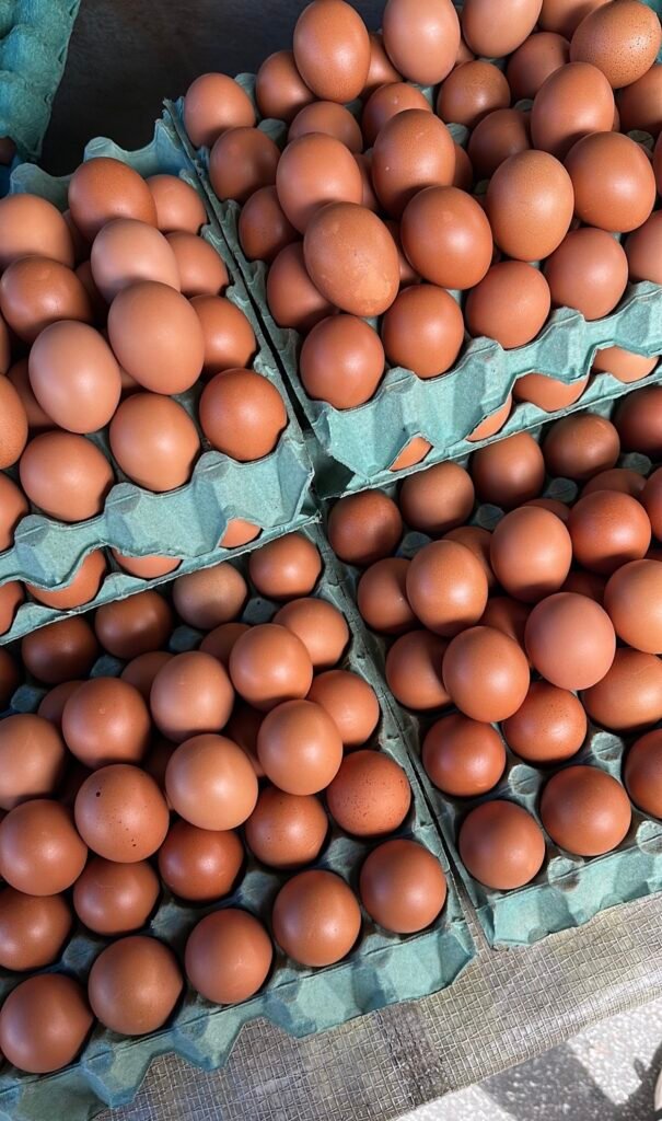 ALIMENTAÇÃO E TESTOSTERONA